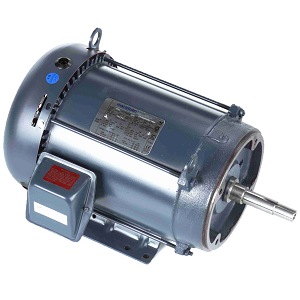 213TTFBD6006